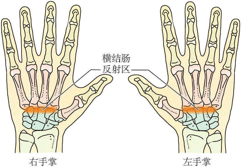 (六)結(jié)腸炎